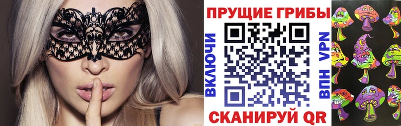 Галлюциногенные грибы Psilocybe  Новоалтайск 